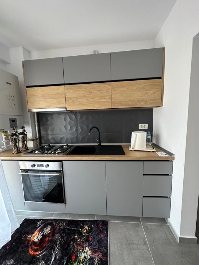 Apartamente Arinis Gura Humorului Dış mekan fotoğraf