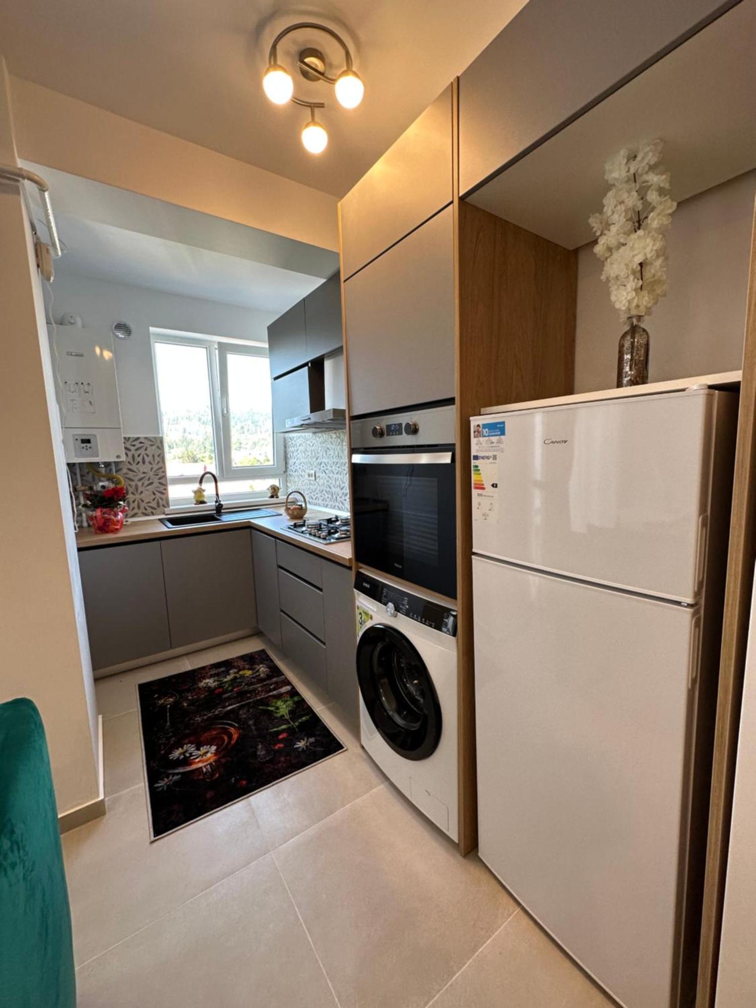 Apartamente Arinis Gura Humorului Dış mekan fotoğraf